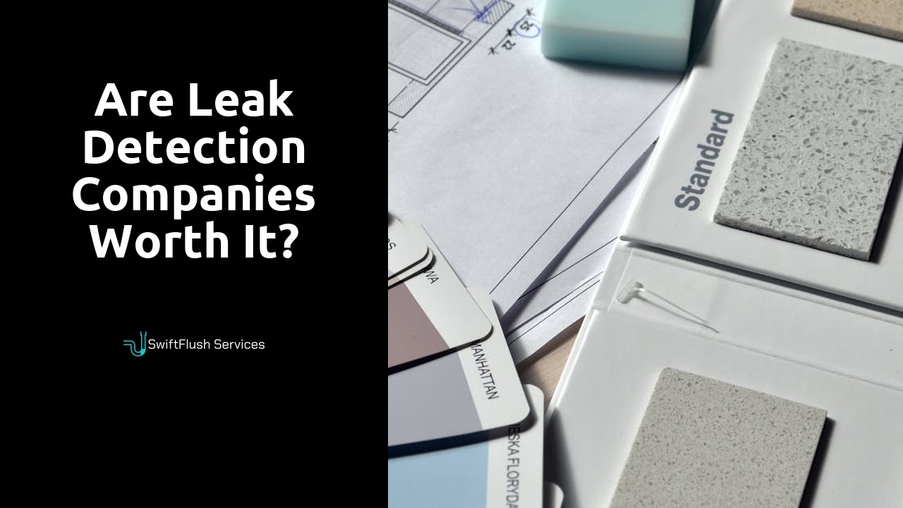 Are leak detection companies worth it?