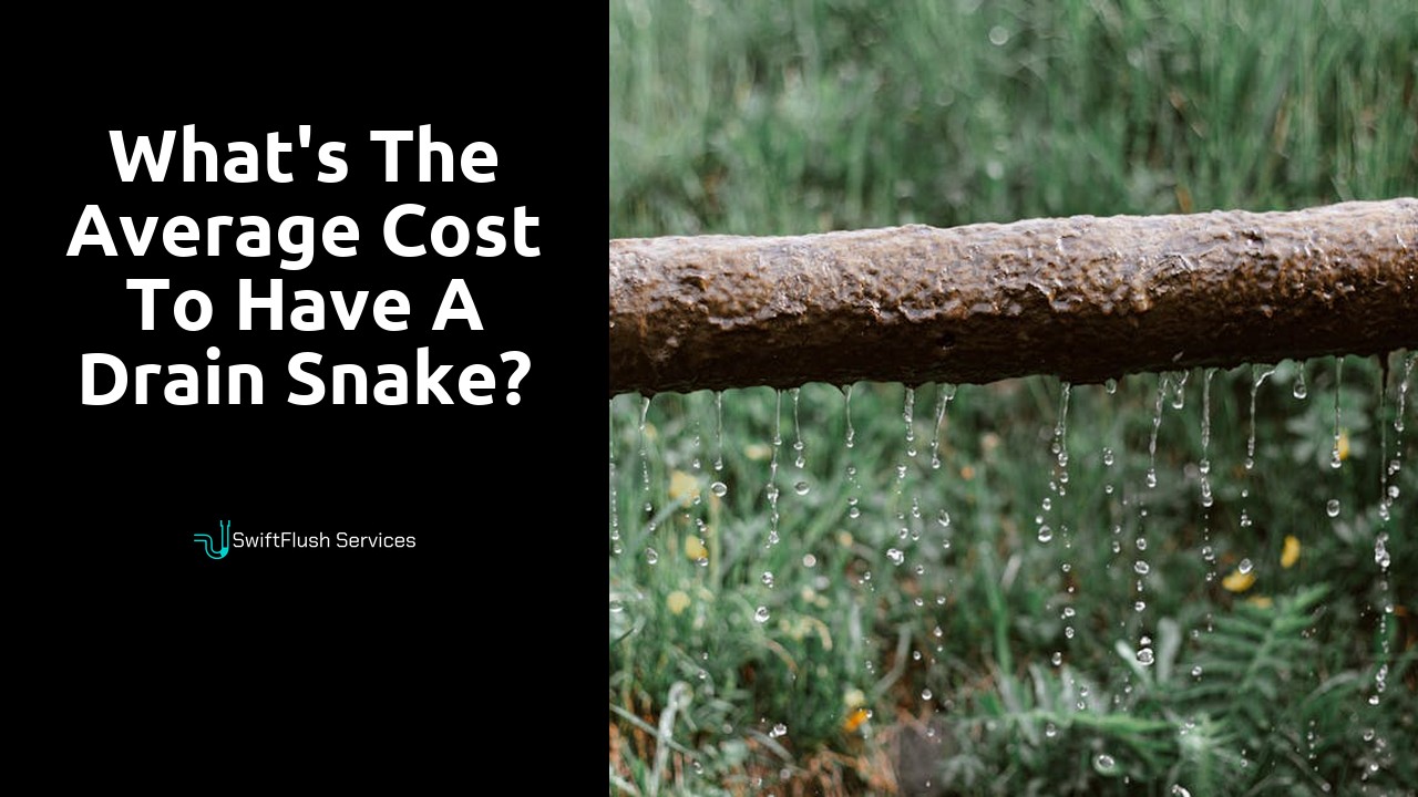 What's the average cost to have a drain snake?