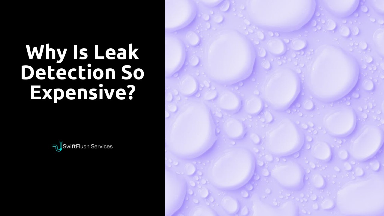 Why is leak detection so expensive?